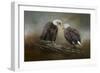 Quiet Conversation Bald Eagles-Jai Johnson-Framed Giclee Print