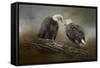 Quiet Conversation Bald Eagles-Jai Johnson-Framed Stretched Canvas