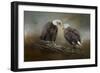 Quiet Conversation Bald Eagles-Jai Johnson-Framed Premium Giclee Print