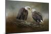 Quiet Conversation Bald Eagles-Jai Johnson-Mounted Premium Giclee Print