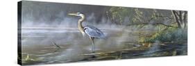 Quiet Cove - Great Blue Heron-Wilhelm Goebel-Stretched Canvas
