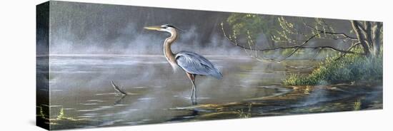 Quiet Cove - Great Blue Heron-Wilhelm Goebel-Stretched Canvas