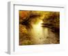 Quiet Creek-Janet Slater-Framed Photographic Print