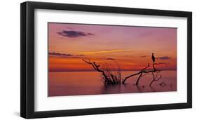 Quiet Evening-null-Framed Giclee Print