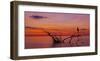 Quiet Evening-null-Framed Giclee Print