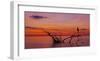 Quiet Evening-null-Framed Giclee Print