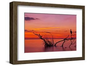 Quiet Evening-Verdon-Framed Photographic Print