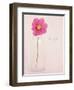 Quiet Floral Setting 1-Susannah Tucker-Framed Art Print