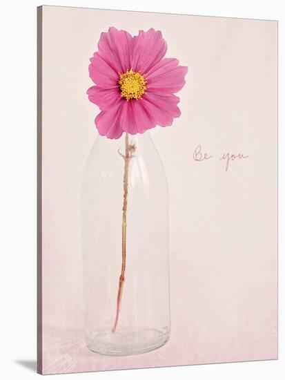 Quiet Floral Setting 1-Susannah Tucker-Stretched Canvas