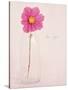 Quiet Floral Setting 1-Susannah Tucker-Stretched Canvas