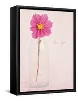 Quiet Floral Setting 1-Susannah Tucker-Framed Stretched Canvas