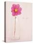 Quiet Floral Setting 1-Susannah Tucker-Stretched Canvas