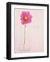 Quiet Floral Setting 1-Susannah Tucker-Framed Art Print