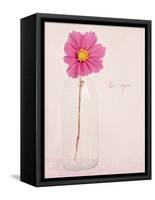 Quiet Floral Setting 1-Susannah Tucker-Framed Stretched Canvas