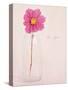 Quiet Floral Setting 1-Susannah Tucker-Stretched Canvas