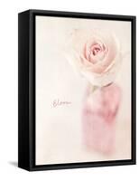 Quiet Floral Setting 2-Susannah Tucker-Framed Stretched Canvas