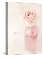 Quiet Floral Setting 2-Susannah Tucker-Stretched Canvas