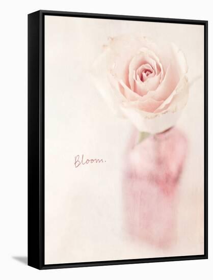 Quiet Floral Setting 2-Susannah Tucker-Framed Stretched Canvas