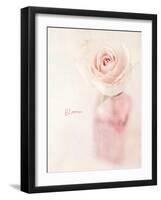 Quiet Floral Setting 2-Susannah Tucker-Framed Art Print