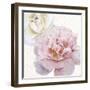 Quiet Florals-Bella Dos Santos-Framed Art Print