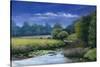 Quiet Flows the Stour, 2006-Anthony Rule-Stretched Canvas