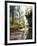 Quiet Forest-Bill Makinson-Framed Giclee Print