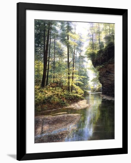 Quiet Forest-Bill Makinson-Framed Giclee Print