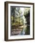 Quiet Forest-Bill Makinson-Framed Giclee Print