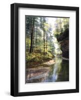 Quiet Forest-Bill Makinson-Framed Giclee Print