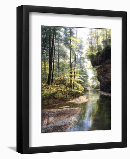 Quiet Forest-Bill Makinson-Framed Giclee Print