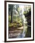 Quiet Forest-Bill Makinson-Framed Giclee Print