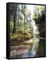 Quiet Forest-Bill Makinson-Framed Stretched Canvas