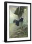 Quiet Life-Vincenzo Campi-Framed Giclee Print