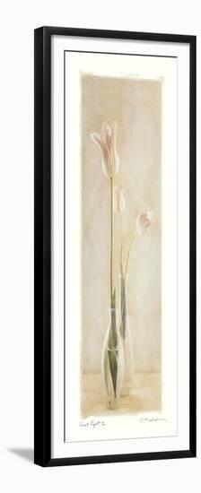 Quiet Light II-Amy Melious-Framed Premium Giclee Print