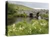 Quiet Man Bridge, Near Maam Cross, Connemara, County Galway, Connacht, Republic of Ireland-Gary Cook-Stretched Canvas