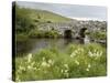 Quiet Man Bridge, Near Maam Cross, Connemara, County Galway, Connacht, Republic of Ireland-Gary Cook-Stretched Canvas