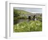 Quiet Man Bridge, Near Maam Cross, Connemara, County Galway, Connacht, Republic of Ireland-Gary Cook-Framed Photographic Print