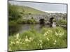 Quiet Man Bridge, Near Maam Cross, Connemara, County Galway, Connacht, Republic of Ireland-Gary Cook-Mounted Photographic Print