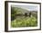 Quiet Man Bridge, Near Maam Cross, Connemara, County Galway, Connacht, Republic of Ireland-Gary Cook-Framed Photographic Print