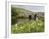 Quiet Man Bridge, Near Maam Cross, Connemara, County Galway, Connacht, Republic of Ireland-Gary Cook-Framed Photographic Print