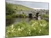 Quiet Man Bridge, Near Maam Cross, Connemara, County Galway, Connacht, Republic of Ireland-Gary Cook-Mounted Photographic Print
