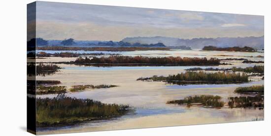 Quiet Marshes-Tania Bello-Stretched Canvas