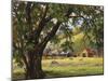 Quiet Meadow-Erin Dertner-Mounted Art Print