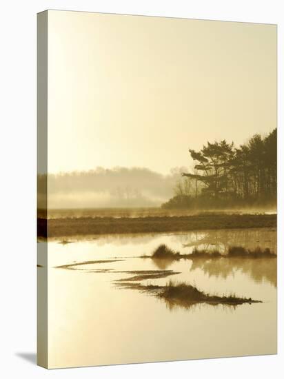 Quiet Moments Overlooking the Marsh at Dawn, Scarborough,Maine-Nance Trueworthy-Stretched Canvas