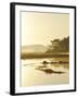 Quiet Moments Overlooking the Marsh at Dawn, Scarborough,Maine-Nance Trueworthy-Framed Premium Photographic Print