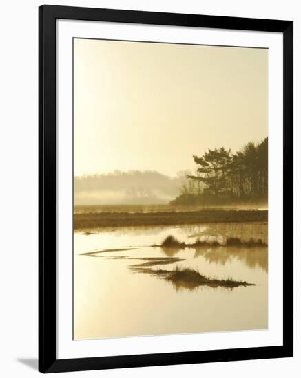 Quiet Moments Overlooking the Marsh at Dawn, Scarborough,Maine-Nance Trueworthy-Framed Photographic Print