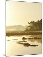 Quiet Moments Overlooking the Marsh at Dawn, Scarborough,Maine-Nance Trueworthy-Mounted Photographic Print