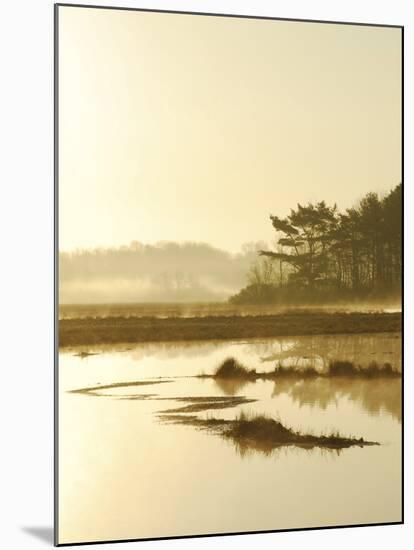 Quiet Moments Overlooking the Marsh at Dawn, Scarborough,Maine-Nance Trueworthy-Mounted Photographic Print