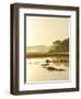 Quiet Moments Overlooking the Marsh at Dawn, Scarborough,Maine-Nance Trueworthy-Framed Photographic Print