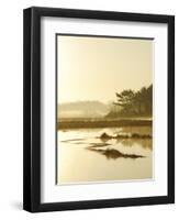 Quiet Moments Overlooking the Marsh at Dawn, Scarborough,Maine-Nance Trueworthy-Framed Photographic Print